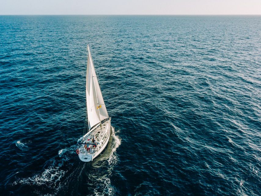 Tenerife: Sailboat Tour Whale Watching Food and Snorkeling - A 30-minute swim and snorkel stop