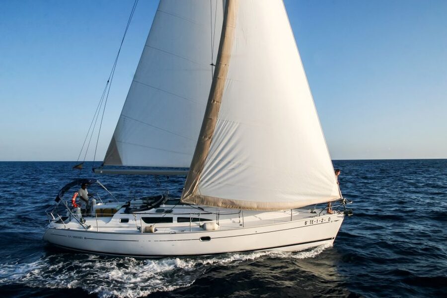Tenerife: Sailboat Tour Whale Watching Food and Snorkeling - Searching for pilot whales, dolphins, and turtles