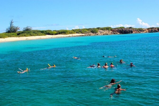 Tropical Catamaran Snorkeling & Sailing - Little Bay provides an easy first snorkel