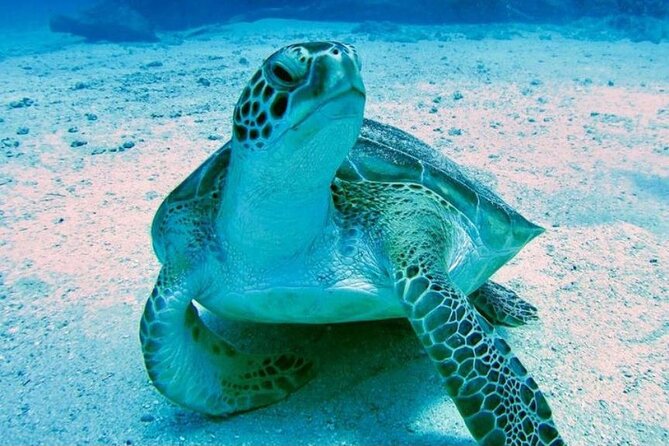 Tropical Catamaran Snorkeling & Sailing - Beach stops, noodles, and plane spotting