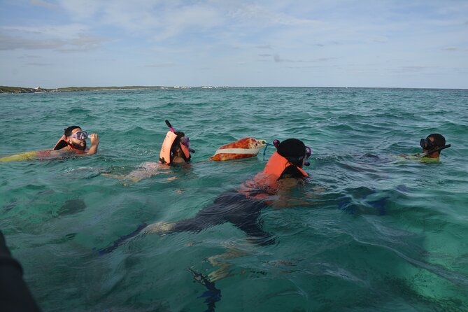 Tulum: Snorkeling and Private Sailing Tour - Weather and timing can change the experience