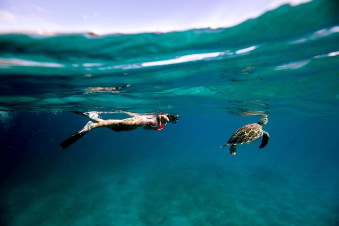 Turtle Cove Catamaran Snorkel and Sail at Little Buck Island STT - The Turtle Cove experience at a glance