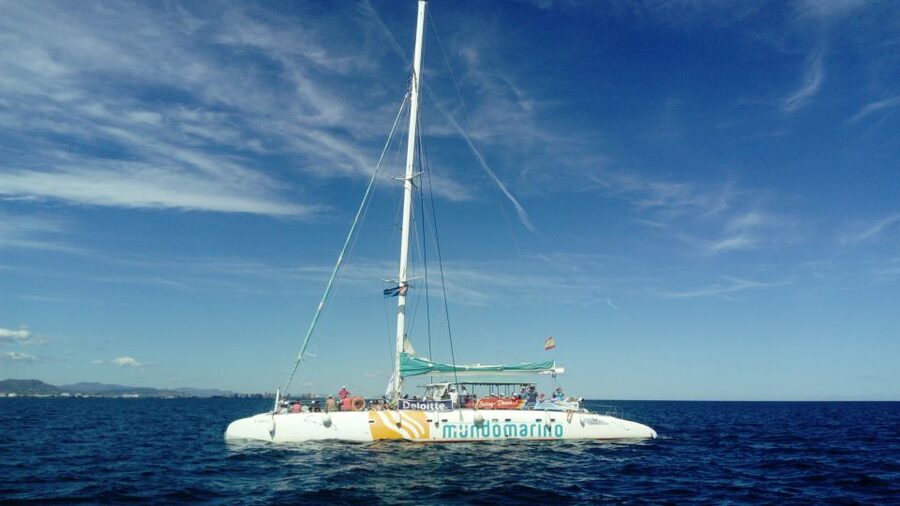 Valencia: Sailing Catamaran Cruise with Valencian Lunch - Should you book the Valencia catamaran cruise?