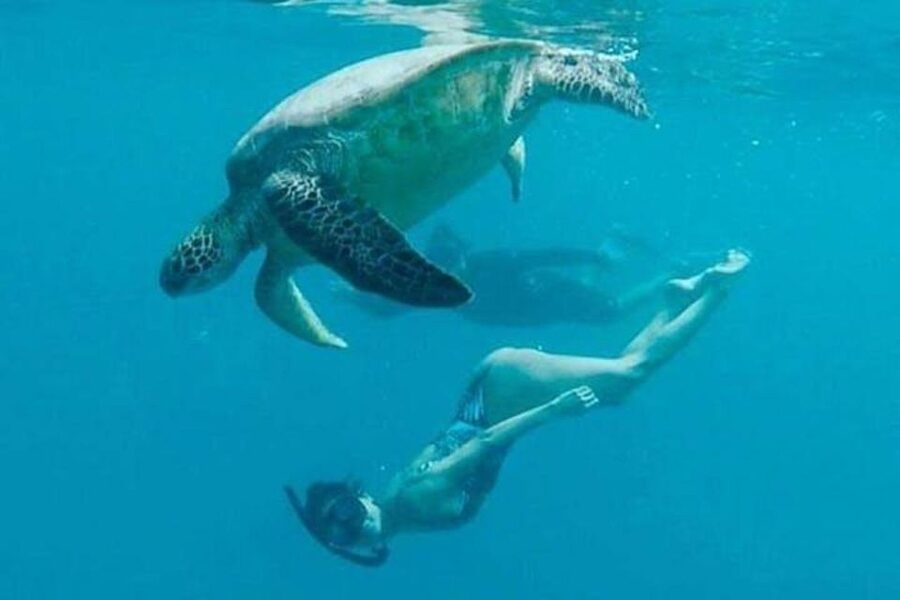 Waikiki Beach: Turtle Snorkeling and Sailing on Hāwea - Sailing past Waikiki after snorkeling
