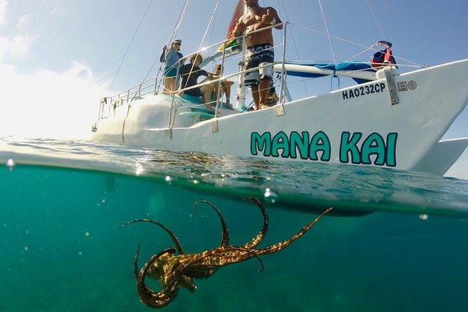 Waikiki Turtle Snorkel and Sail on Hawea Catamaran - A simple Waikiki start at the Duke Kahanamoku statue