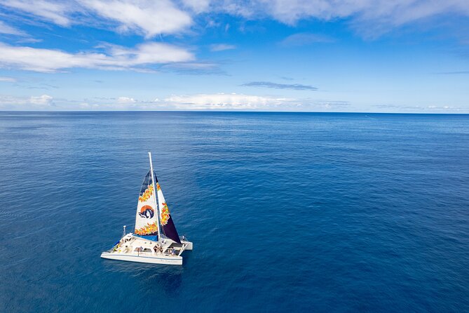 West Oahu Dolphin Watch and Snorkel Sail with Lunch - Why the Leeward Coast makes this boat trip special