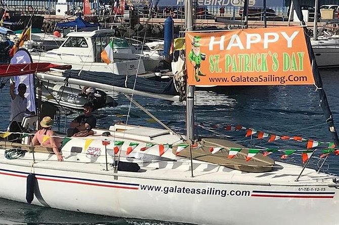 Whale and Dolphin Small Group Sailing from Tenerife South - Who should book this Galatea sailing trip?