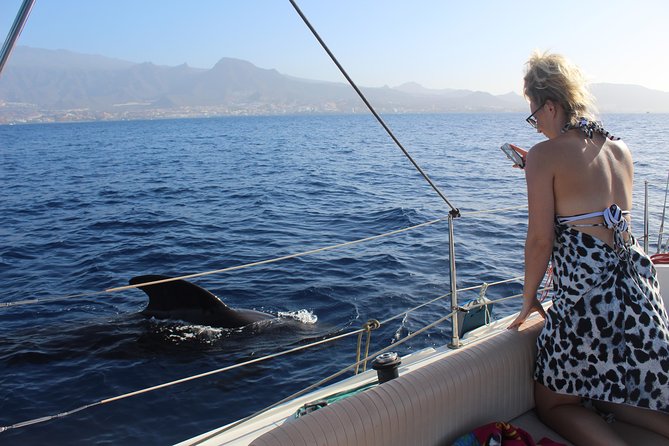 Whale and Dolphin Small Group Sailing from Tenerife South - What Captain Patrick adds to the trip