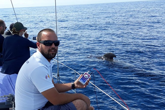 Whale and Dolphin Watching Sailing Boat with Drinks, Snacks and Swimming Time - A swim and snorkel stop near the coast