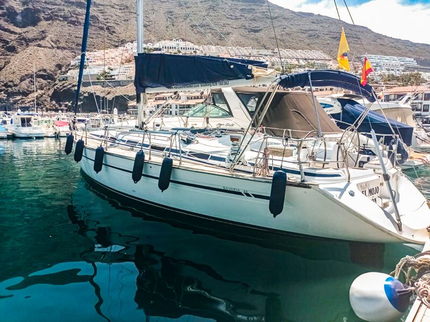 Whale and Dolphin Watching Sailing Tour – Los Gigantes (3H) - Who will enjoy this sailing tour most