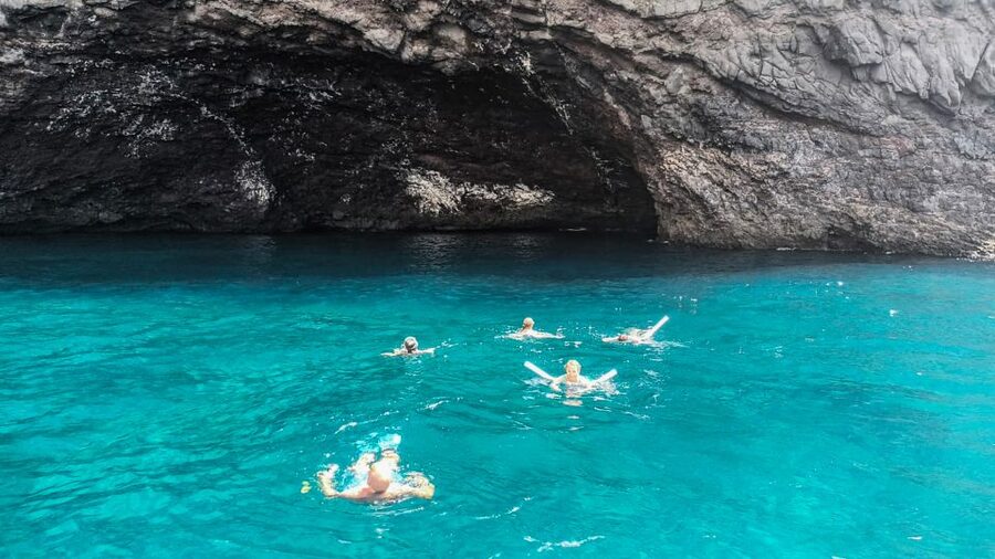 Whale and Dolphin Watching Sailing Tour – Los Gigantes (3H) - Practical tips for a better three hours