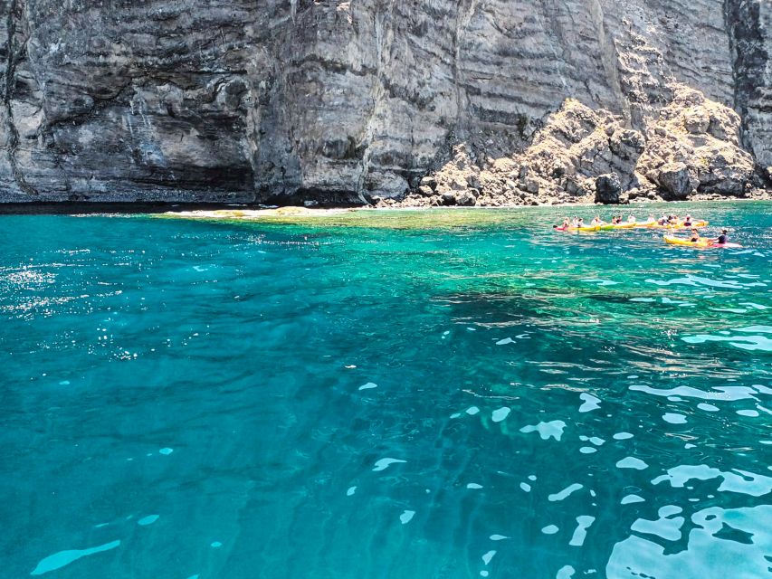 Whale and Dolphin Watching Sailing Tour – Los Gigantes (3H) - Should you book the Los Gigantes whale tour?