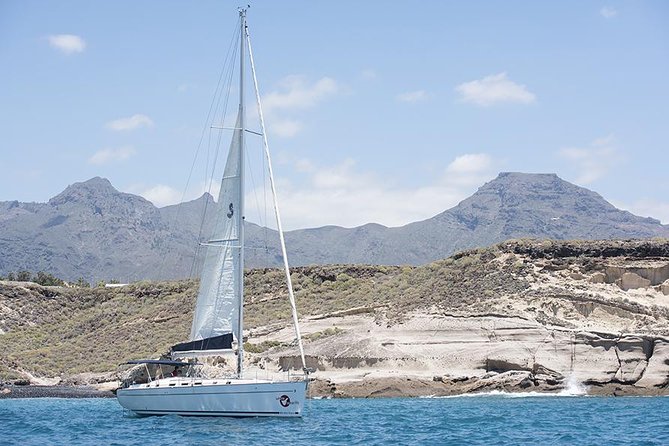 Whales & Dolphins watching in exclusive sailboat - The swimming stop and lunch on board