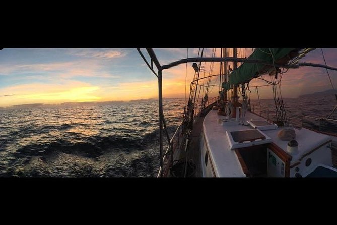 Whitsundays Sunset Sailing Cruise - Who will enjoy this sunset sail?