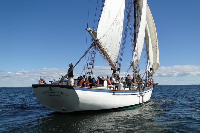 Windjammer Classic Day Sail from Camden, Maine - Raising the sails and learning the ship’s story